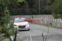 39° Rally di Pico 2017 CIR - IMG_8336